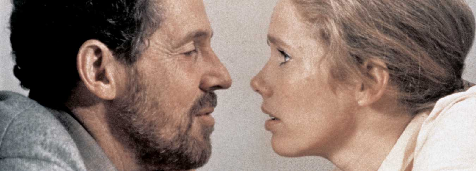 Sc&egrave;nes de la vie conjugale (version cin&eacute;)